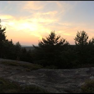 Meet your Posher, Ali